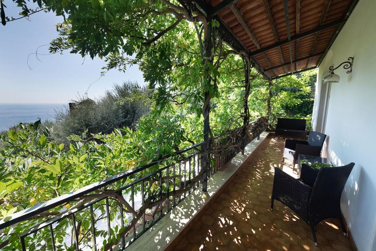 Villa Marinella Close To The Sea With Private Pool Nerano Exterior foto